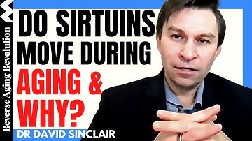 Do SIRTUINS Move During AGING? Is It A Cause Of Epigenetic Drift | Dr David Sinclair Interview Clips