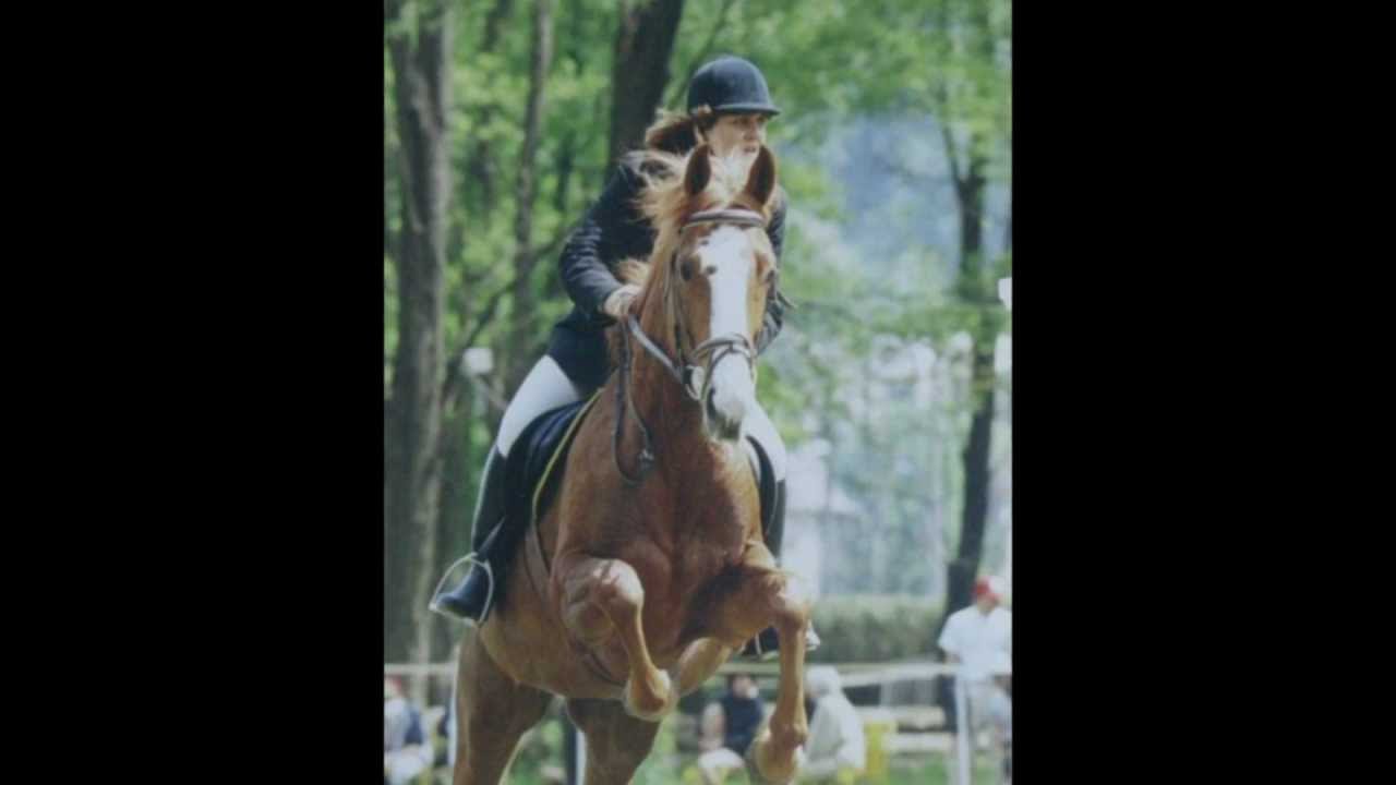 La passion du cheval