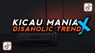 DJ KICAU KICAU MANIA X DISA HOLIC | GASPOL DANGAK TREND VIRAL TIKTOK TERBARU 2026 YANG KALIAN CARI