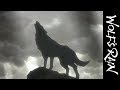 Wolf's Rain - Official Trailer