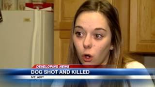 Owner cited after shooting dog at park
