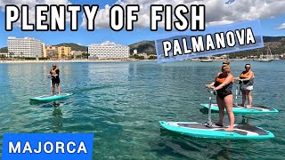 Sea Scooters And Something Fishy - Son Matias Beach - Palmanova - MALLORCA - 2024