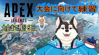 【練習配信】エペの大会に向けてエイム練習！！！！