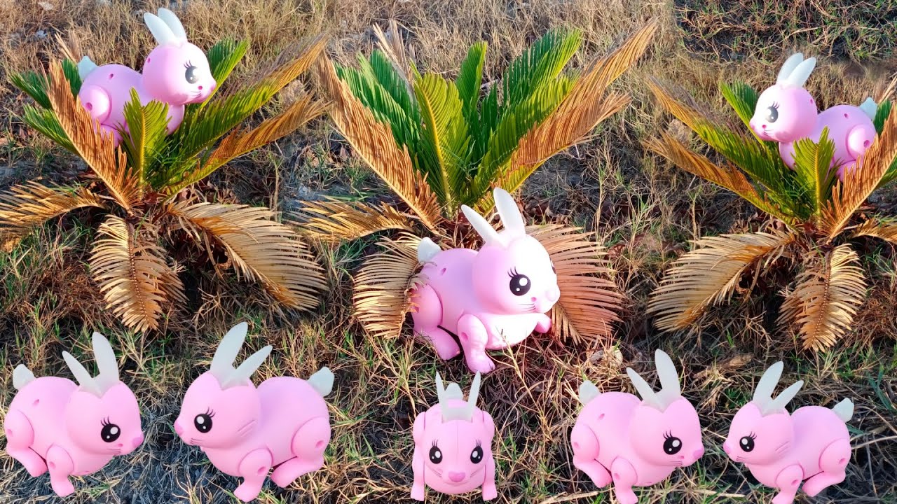 Unboxing Rabbit Battery Operated order Flipkart | animals collection Dog Elephant Tiger Horse 13+