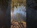 #shortsvideo #canadalife #canadavibes #shorts #beautifulnature #centralpark #lowerpond#walk #fun