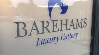 Barehams Luxury Cattery