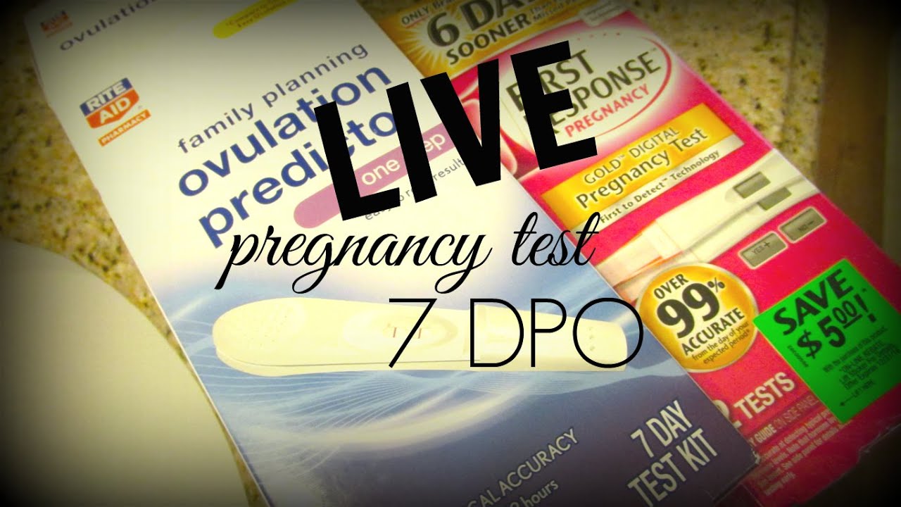 LIVE Pregnancy Test TTC Journey Cycle 8 BFN at 7 DPO ( YouTube