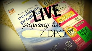 LIVE Pregnancy Test | TTC Journey | Cycle 8 |  BFN at 7 DPO :(