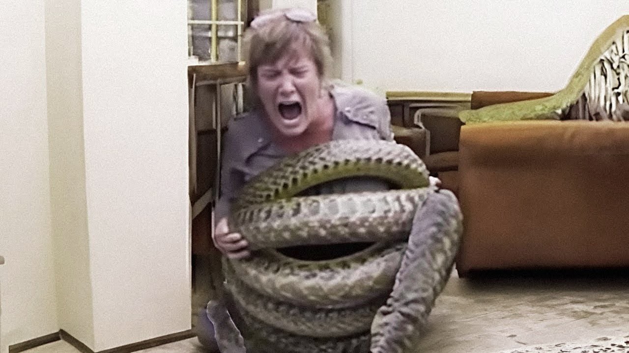 CHILLING!! The Deadliest Snake Attack Caught on Camera
