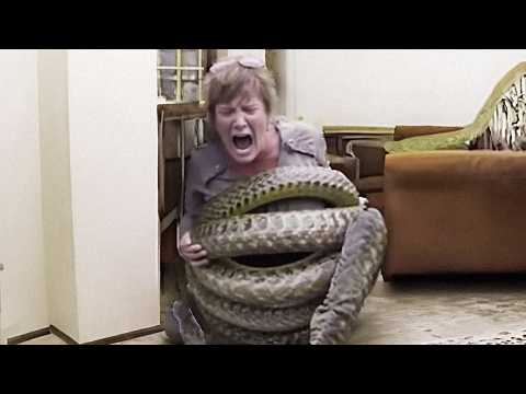 CHILLING!! The Deadliest Snake Attack Caught on Camera