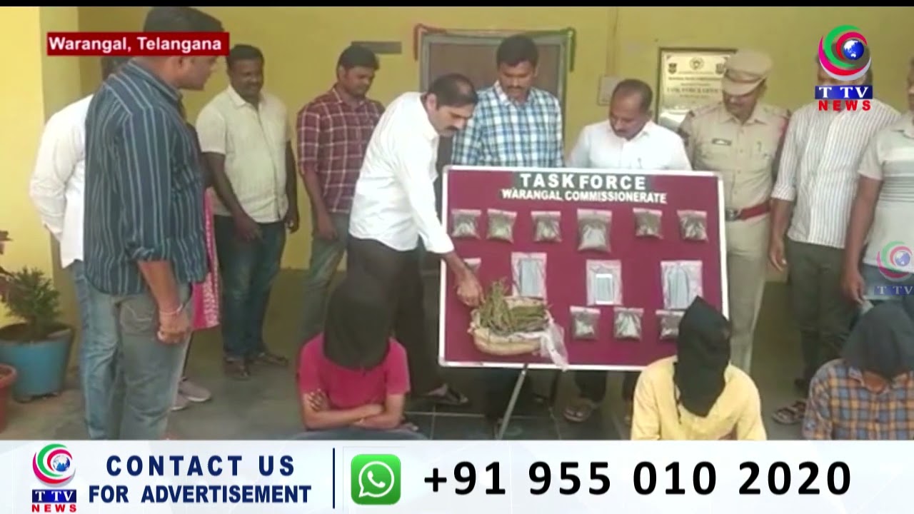 Warangal Task Force Police arrested 3 persons while illegal transfer of ganja