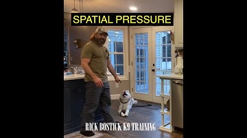 Spatial Pressure:Claiming Space - Husky