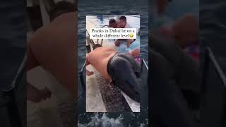 panic attack #shorts #meme  #memes #memepage #memesdaily