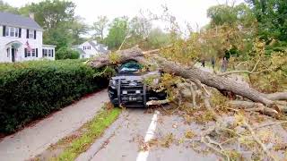09-16-2023 Cohasset, MA - Huge Tree Falls & Crushes Police Cruiser - Hurricane Lee - High Winds