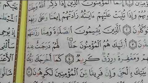 قراءة الصفحة 177 من القرآن الكريم سورة الأنفال