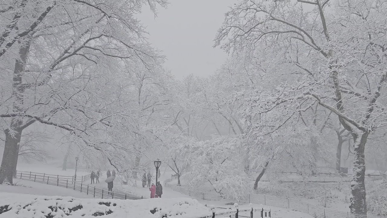 Winter walk in the park DJ SECRET MOTIVE 