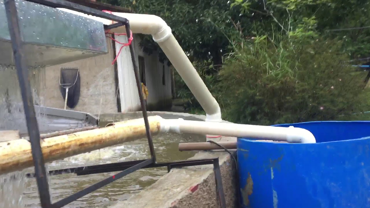 Peneira sieve filter