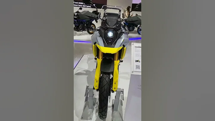 SUZUKI VSTROM 800 DE - 天天要闻