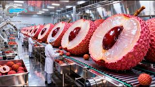 Inside a Modern Lychee Factory: From Fresh Lychees to Canned Lychee in Syrup (Full Process)