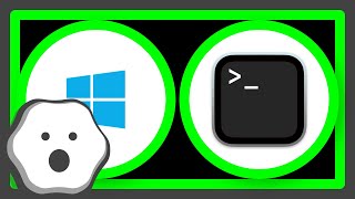 Full Open file from the command line on Windows News