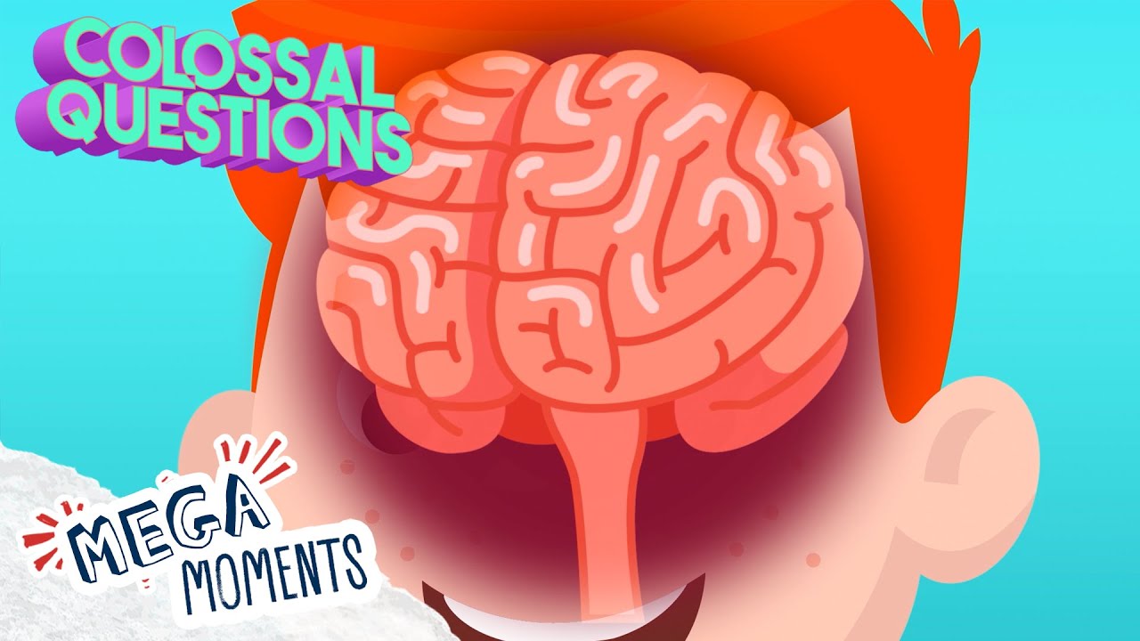 7 Questions About the Human Body for Kids! 🧬 | Colossal Questions 🧠 | Mega Moments