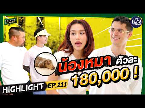[Highlight EP.111] น้องเทอร์โบราคา 6 ล้าน? l เคหสถานบานปลาย l One Playground
