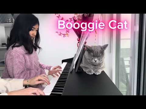 Boogie's for Cat - Alona Mylanych
