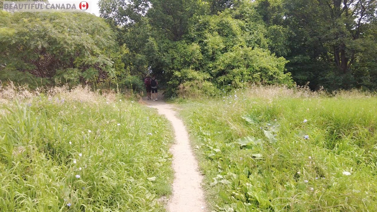 At The Top Of The Bluffs | Day 3 Bluffers Park hill | Walking Area - 4K and HD Video - CANADA