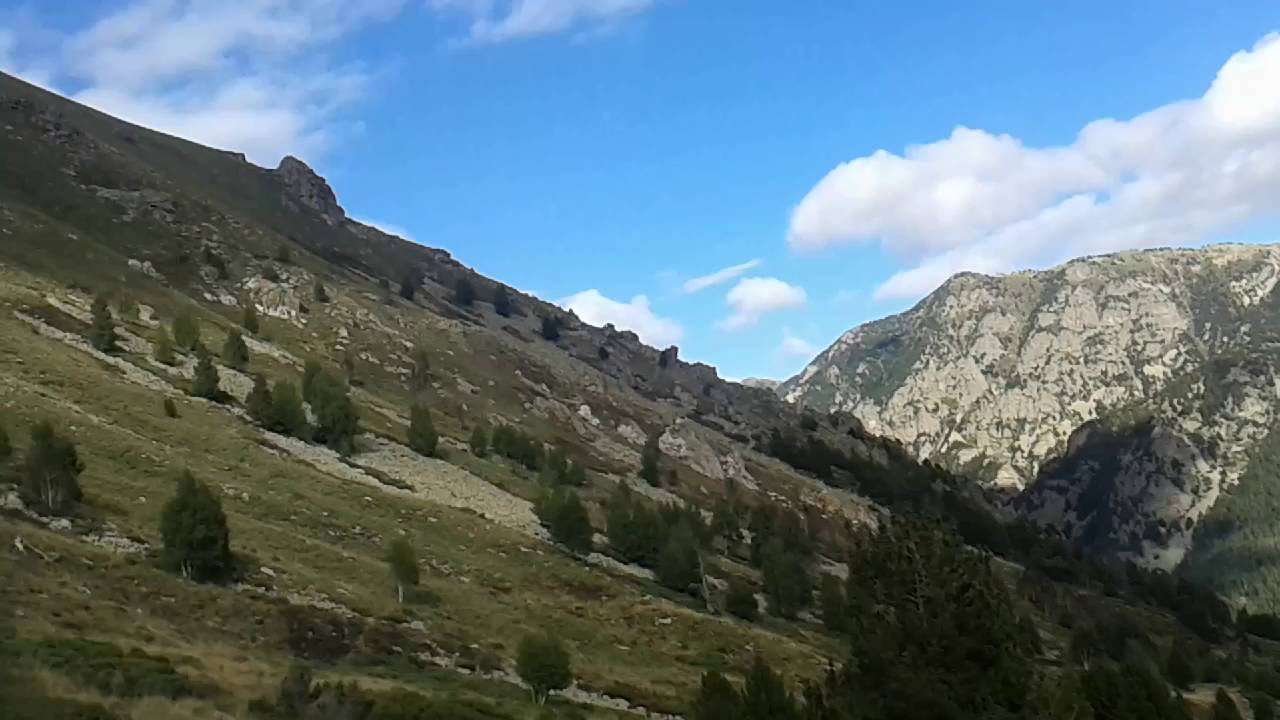 Mitja Mitja