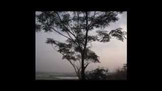 Download Lagu KOTA KARAWANG MP3