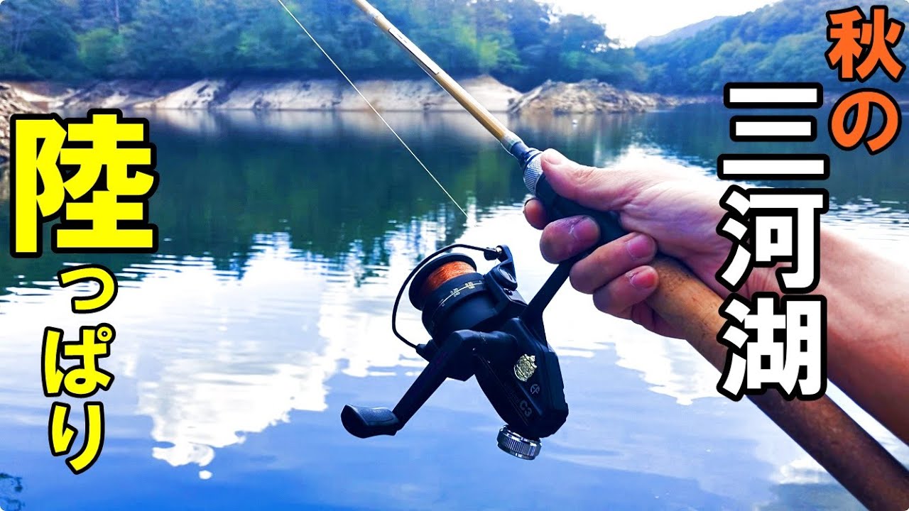 釣り　川　湖沼 Bass Fishing] Autumn at Lake Mikawa, bank fishing, low water level