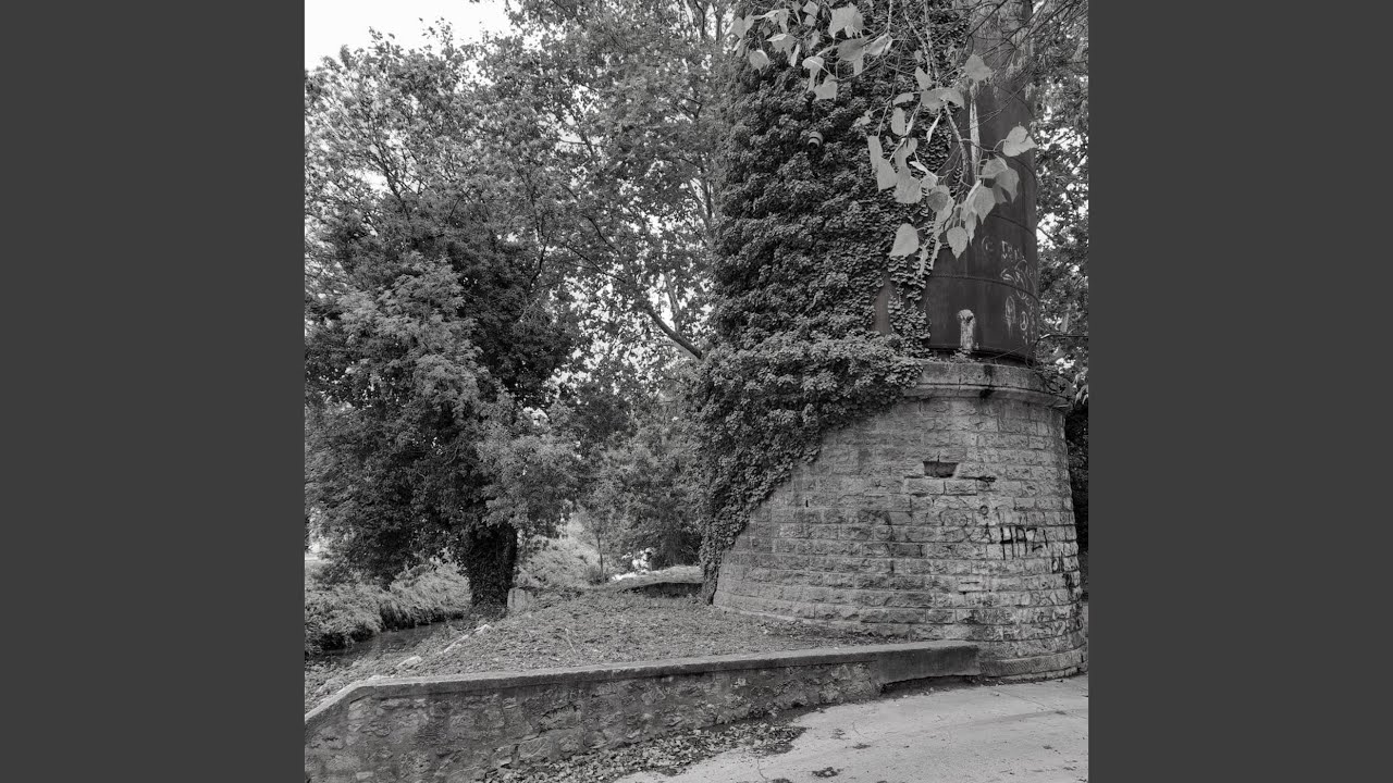 Watch Moonlight on YouTube Watch Moonlight on YouTube