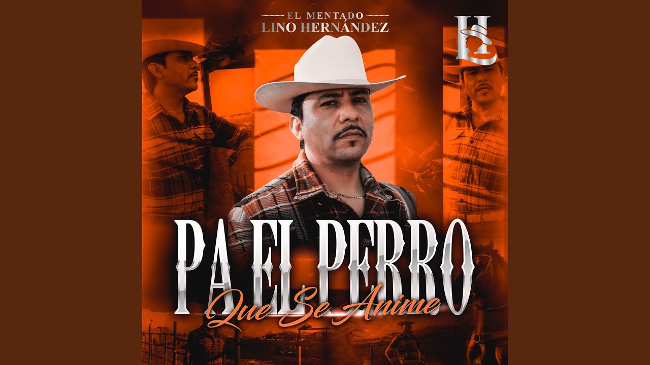 Pa El Perro Que Se Anime