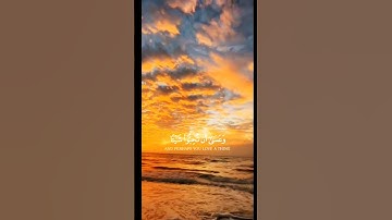 (وعسى أن تكرهوا شيء وهو خير لكم)_سورة البقرة_للقارئ_مشاري العفاسي/