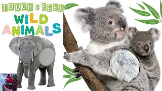 🐨 Read Aloud: TOUCH AND FEEL WILD ANIMALS | Children Books | Touch and Feel Book | Story Time