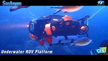 TTRobotix SeaDragon - Underwater ROV Platform