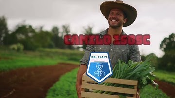 CAMILO 150SC – THUỐC ĐẶC TRỊ NẤM BỆNH CHO CÂY TRỒNG - 0345.37.88.39 - drplant.vn