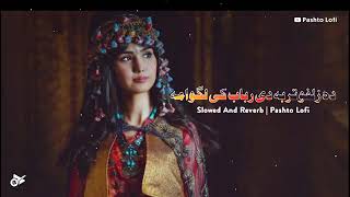 Pashto new song #pashto #song پشتوں نیو سونگ#pashto #song