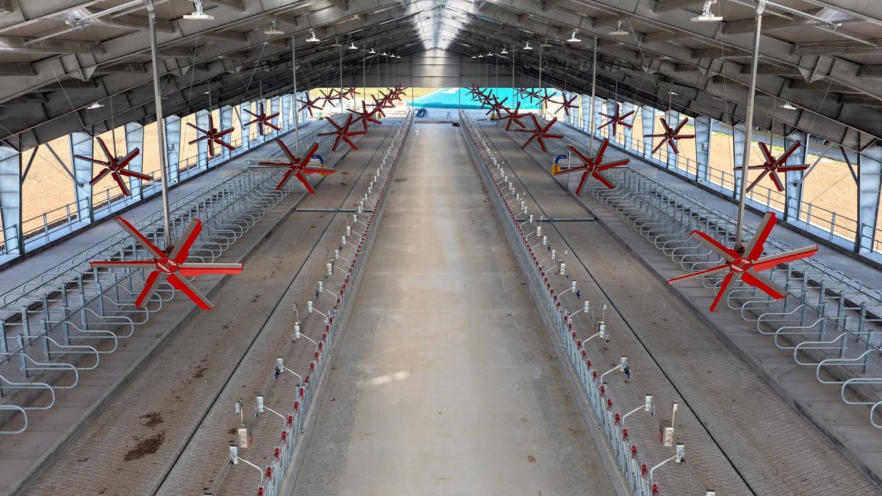 Evoteck - Stalla ad arco da circa 4.440 mq | Three-hinged arched barn of 4,440 sqm