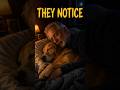 Your Dog Notices When Bedtime Changes