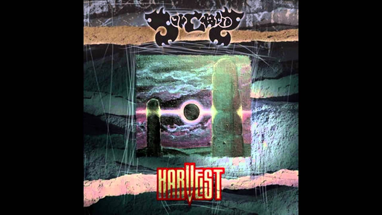 Sunchariot - Free Wind