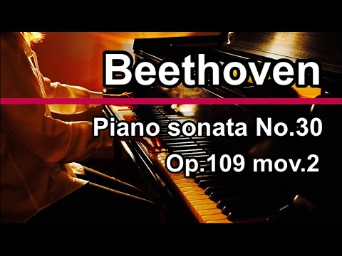 ピアノソナタ第30番 2楽章(ベートーヴェン) Beethoven - Piano Sonata