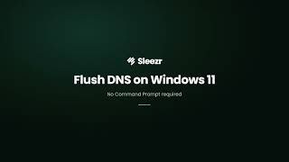 How to Flush DNS on Windows 11 Without Command Prompt (One Click) screenshot 1