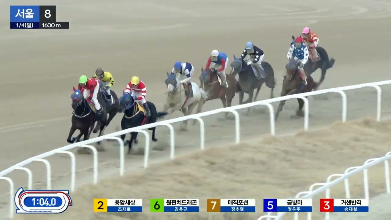 장추열.1등급 경주도 접수.GOOD