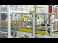 Fully Auto chain driven magazine carton erector delta case packer box sealer and combot palletizer