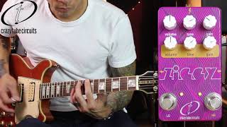 Crazy Tube Circuits Ziggy V2 dual overdrive/distortion pedal - demo by RJ Ronquillo