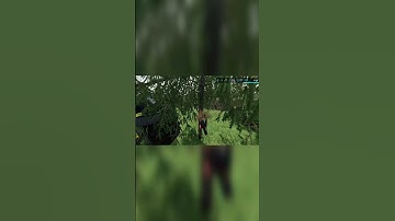 Fs22 Creating a new Field