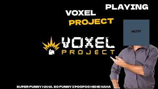 Tear Down But in VR?(Voxel Project)