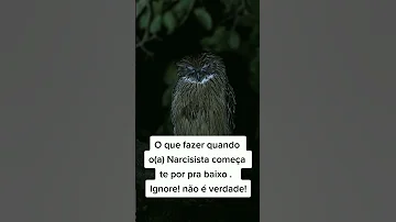Quando Narcisista Te Por Para Baixo Faz A Cara De Milhões Ignore Narcisista Relacionamento Ex 
