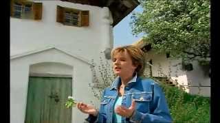 Monika Martin - Meine Liebe reicht für zwei 2004